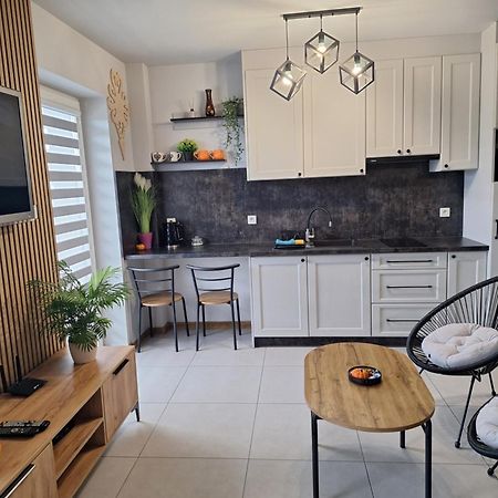 Apartament Gorska Szarotka Nowy Targ Bagian luar foto