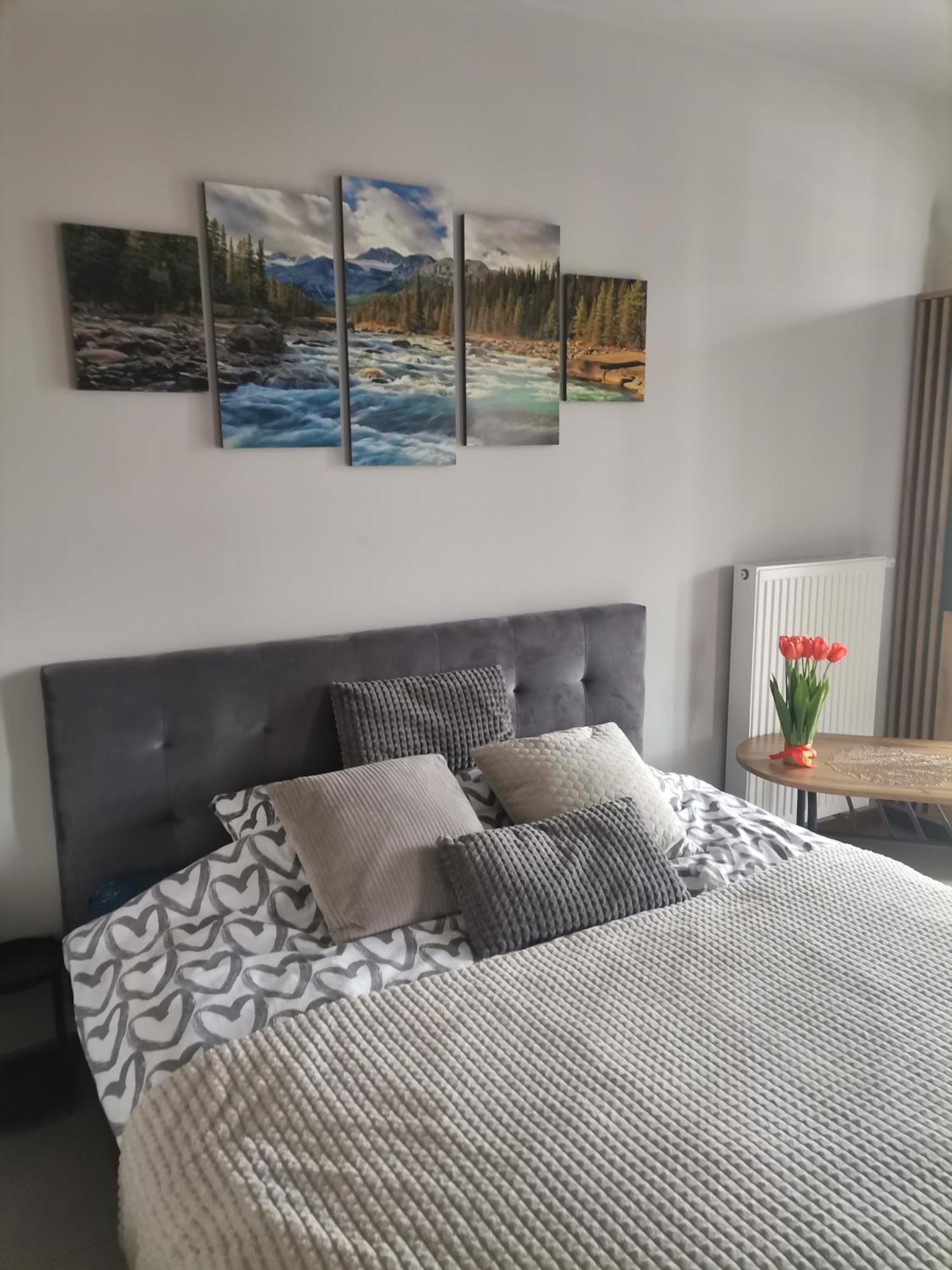 Apartament Gorska Szarotka Nowy Targ Bagian luar foto